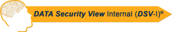 data security view internal